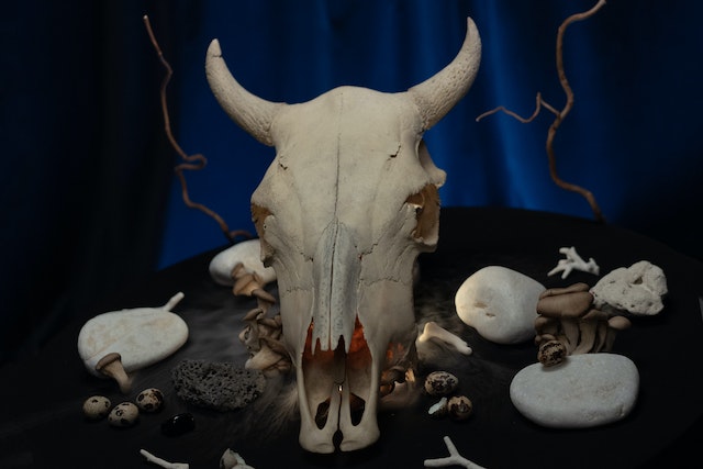 Black Magic Curse Removal, The Dangers of Black Magic Curses, techniques used. its important to seek professional help like from Baba dodu, voodoo, hex/curse removal