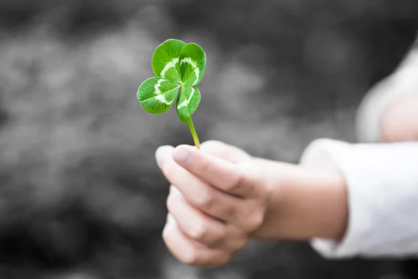Blessings for good luck